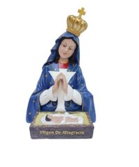 Virgen de Altagracia 7